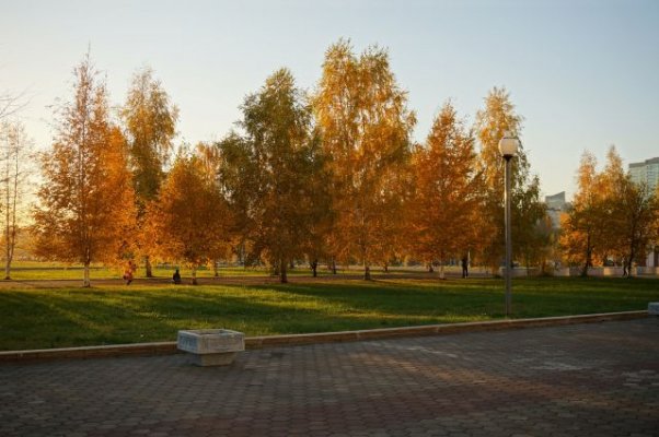 Москвичей подготавливают к аномально сырому и холодному сентябрю