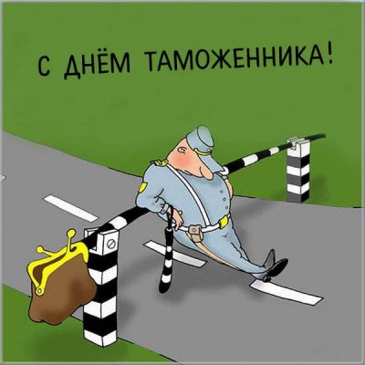 День таможенника 2021: красивые поздравления, картинки