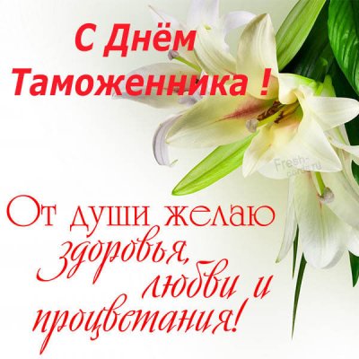 День таможенника 2021: красивые поздравления, картинки