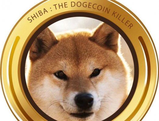 Какие прогнозы дают для валюты Shiba Inu на 2022 год