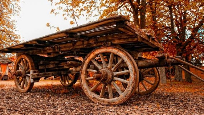 Осия Колесник расскажет, какой будет зима: народные приметы и праздники 30 октября 2021 года