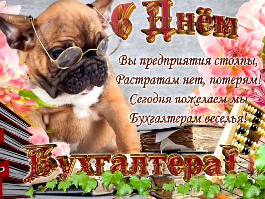 Дни бухгалтера в России и мире: почему 10 ноября стало международным праздником профессии