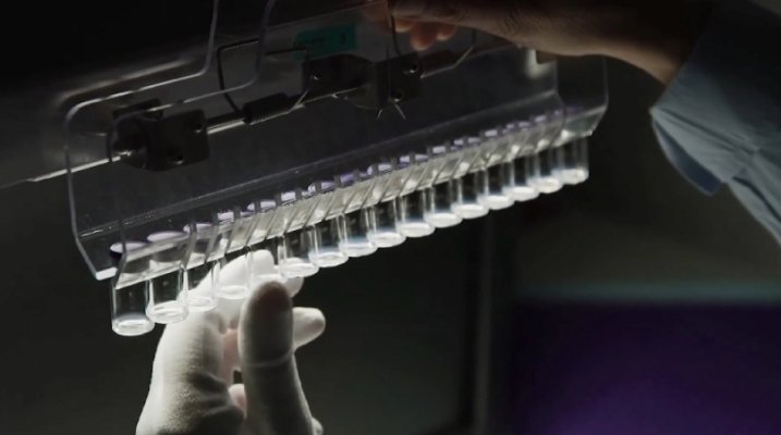 Правда ли, что ФБР задержали гендиректора компании Pfizer в США
