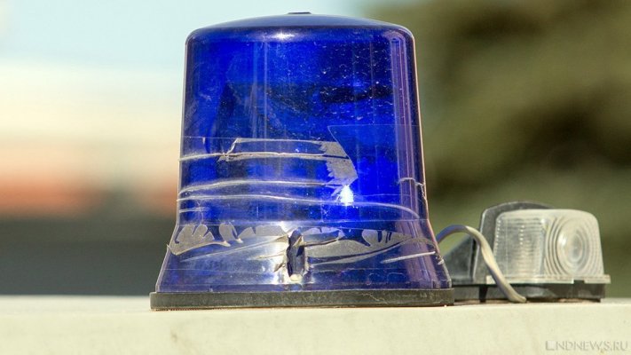 В чем обвиняют Елену Колесникову, мать Прохора Шаляпина